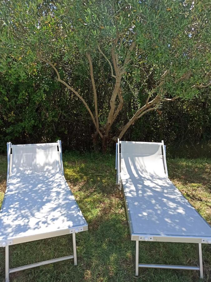 Villa Poggio Al Sole Bio Agriturismo Private Pool San Rocco a Pilli Exterior foto